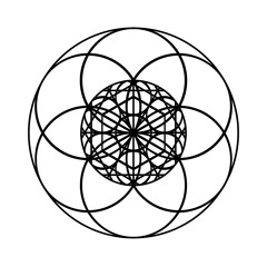 Geomevtrix