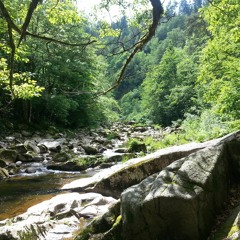 Mountain Stream