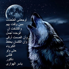 yasser alhwary
