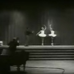 freude an kleinen gärten