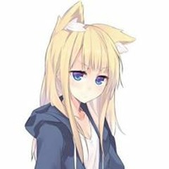 NikDm Kun