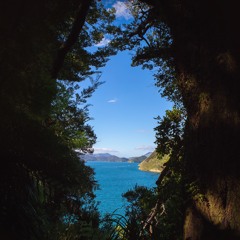 enki by alex lambie (2010)