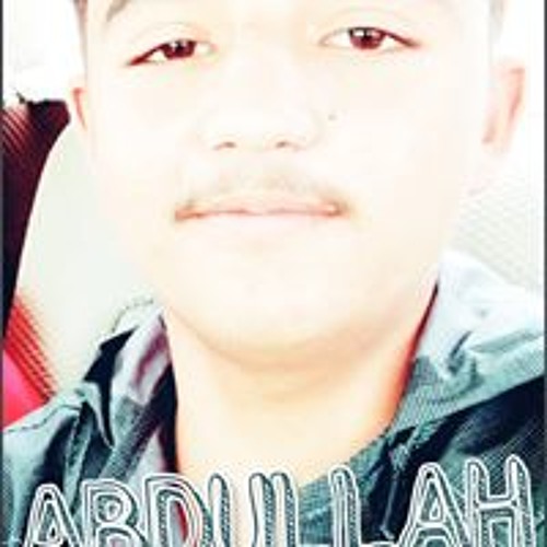 ABDULLAH ARAIN’s avatar