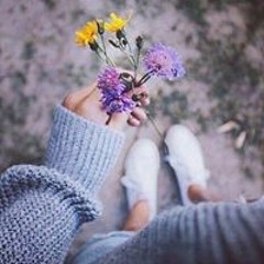 Алекса Абрамс
