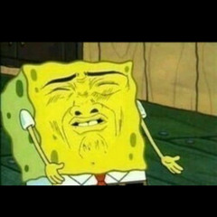 타지-김현창 with문다인