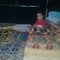 sherif aly