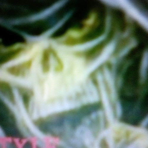 ASadisfaction ofMinoritie Recorded.mp3