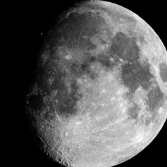Dalmoonx
