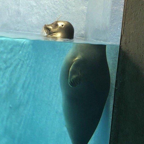 Jiho Givenchy - Frank Ocean [Instrumental] Prod.brightstone