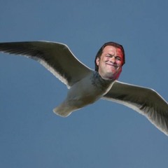 Albo