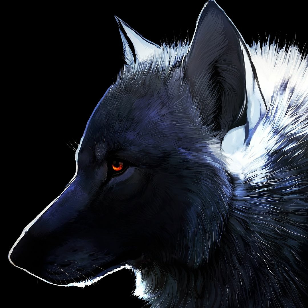 avatars-000687290958-cssedb-