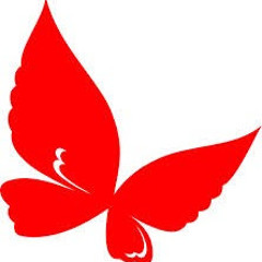 Redbutterfly