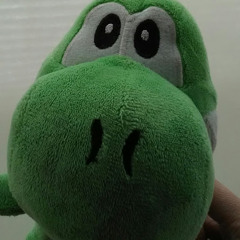 Yoshi the gamer