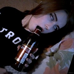 se0ws13u