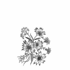 Meda