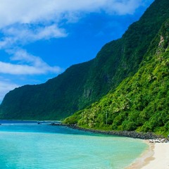 TIME TO HAVE A PARTY  SIREN JAM  KING HORSE