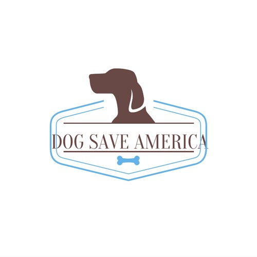 Dog Save America’s avatar