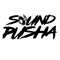 SoundPusha