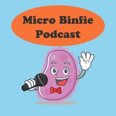 Stream Micro Binfie Podcast  Listen to podcast episodes online for free on  SoundCloud