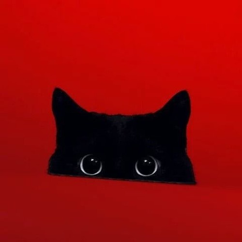 Kitty’s avatar