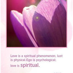 TIKUN OLAM D SOUL W/ LOVE
