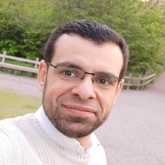 AmeerAdel