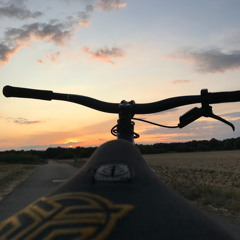 Niklas.mtb