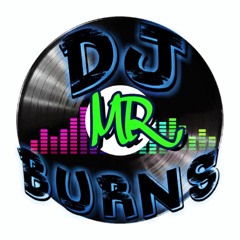 DJ Mr Burns