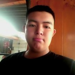 Gấu