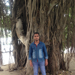 Adel Hamedy
