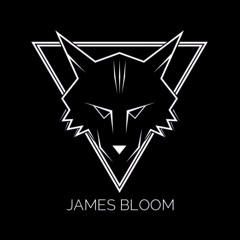 JamesBloomMusic