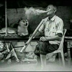 mR Dương