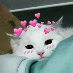 thnhngc._