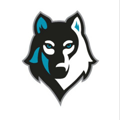 Wolfpack Gamer