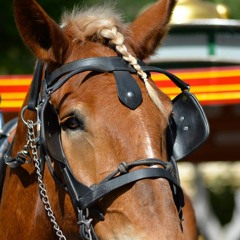 Related tracks: Main Street USA - Complete Area Loop (2011 - present)
