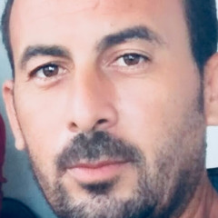 محمود الحبيبى