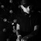 Shaan_K_Music