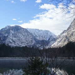Baumann