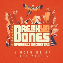 BREAK YA BONES Afrobeat Orchestra