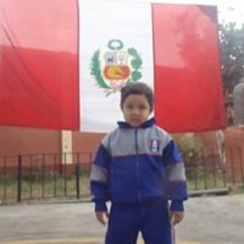 Luis David Nolli Reategui’s avatar