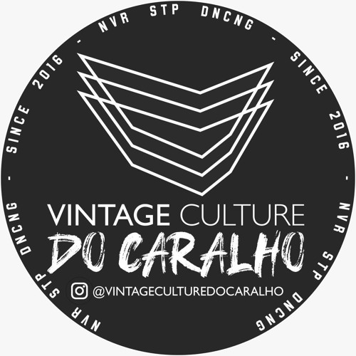 FC Vintage Culture do Caralho’s avatar