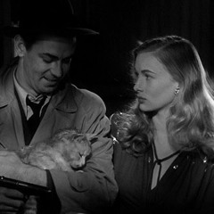 Alan Ladd seine Katze