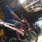 maggy