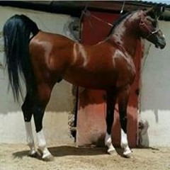 1414