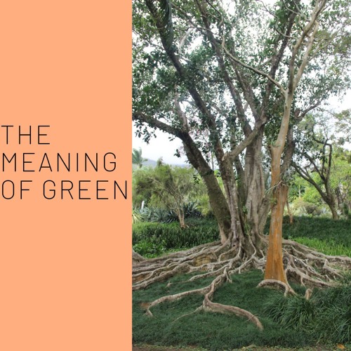 Season 2 The Meaning of Green: Episode Sneak Peeks