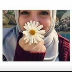 Kholod M. Shawaly