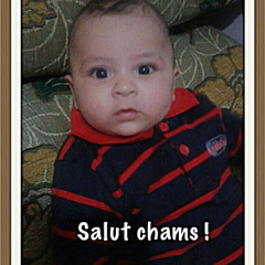 alaoui hamid