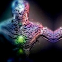 INOCULUM - A Tribute to TOOL