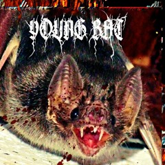 YOUNG BAT (TAG 666)
