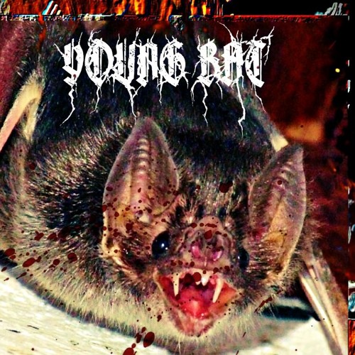 YOUNG BAT (TAG 666)’s avatar